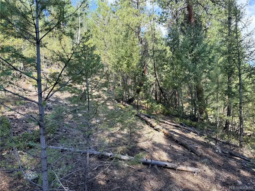 12907 S Cindy Avenue Pine CO 80470