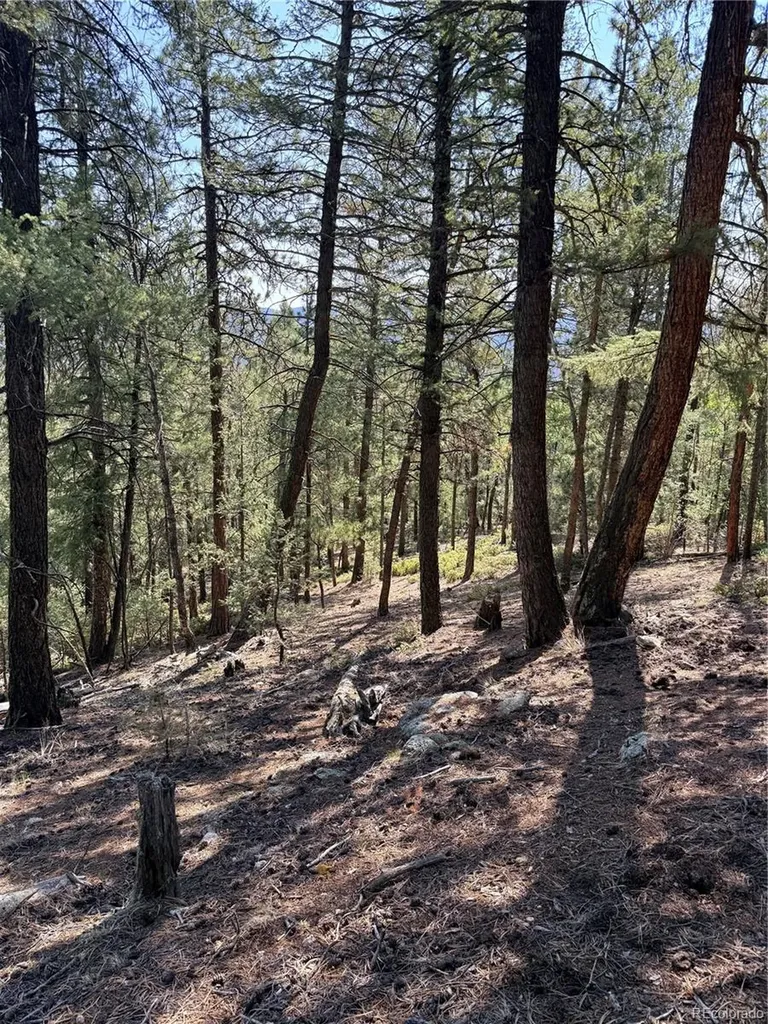 12907 S Cindy Avenue Pine CO 80470