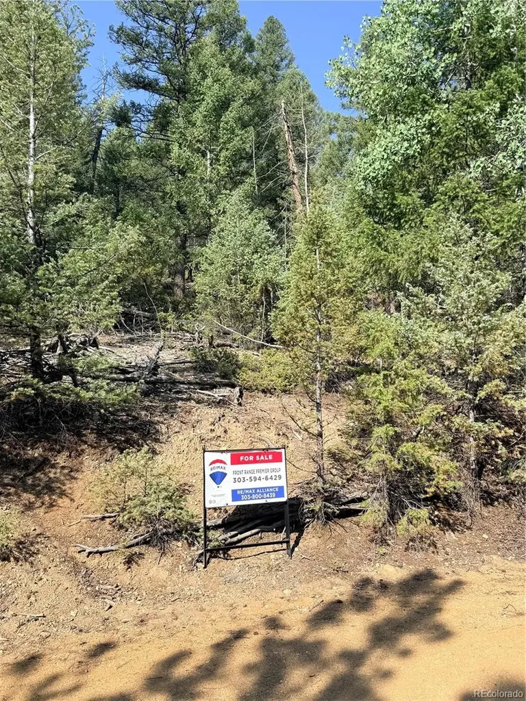12907 S Cindy Avenue Pine CO 80470