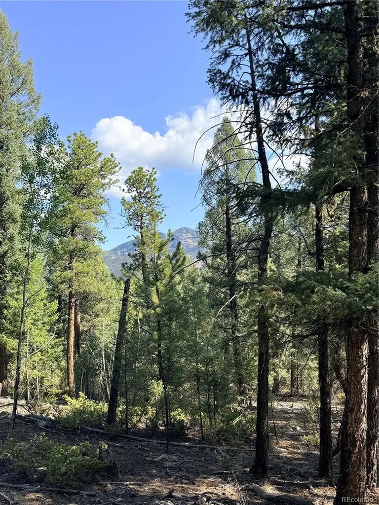 12907 S Cindy Avenue Pine CO 80470