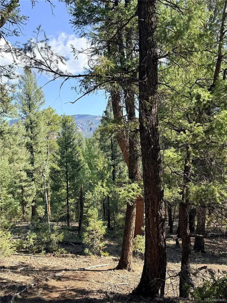 12907 S Cindy Avenue Pine CO 80470