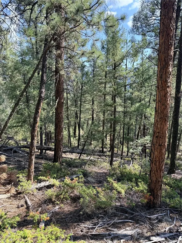 12907 S Cindy Avenue Pine CO 80470