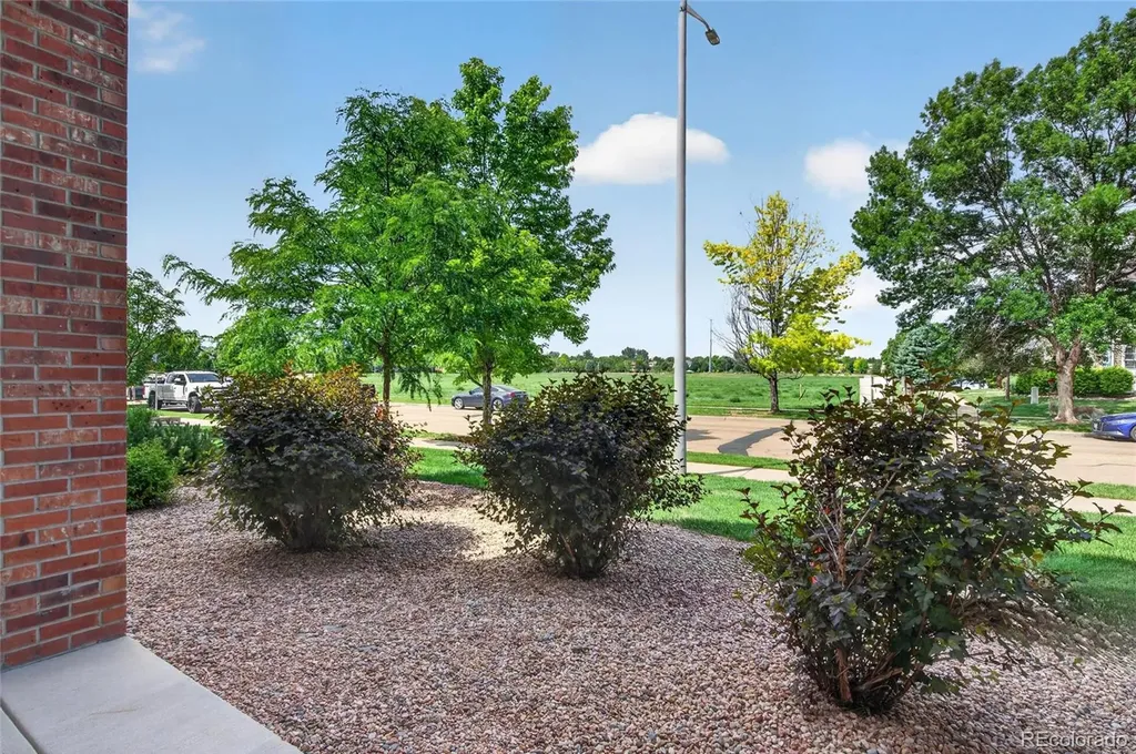 804 Summer Hawk Drive Longmont CO 80504