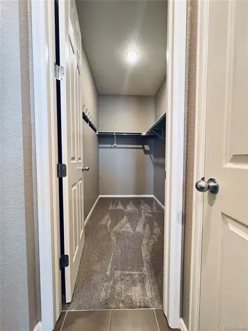607 Sage Grouse Circle Castle Rock CO 80109