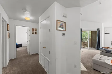 3976 Riviera Grove Colorado Springs CO 80922