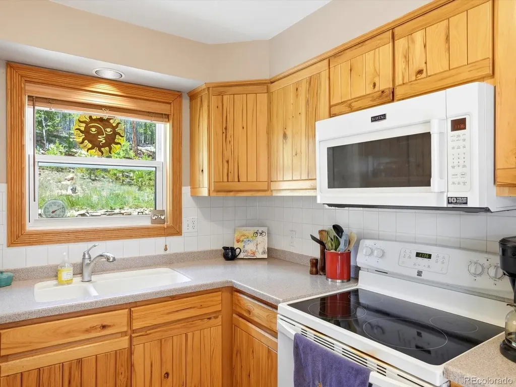 32627 Lila Drive Conifer CO 80433