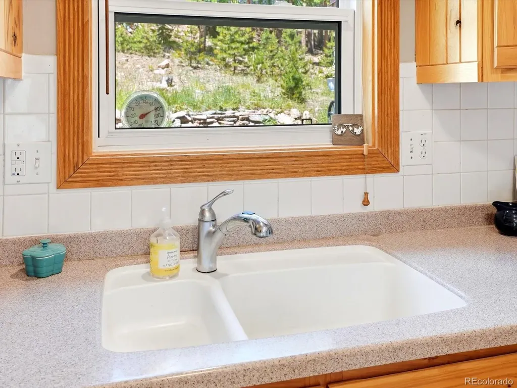 32627 Lila Drive Conifer CO 80433