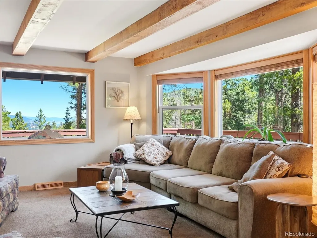 32627 Lila Drive Conifer CO 80433