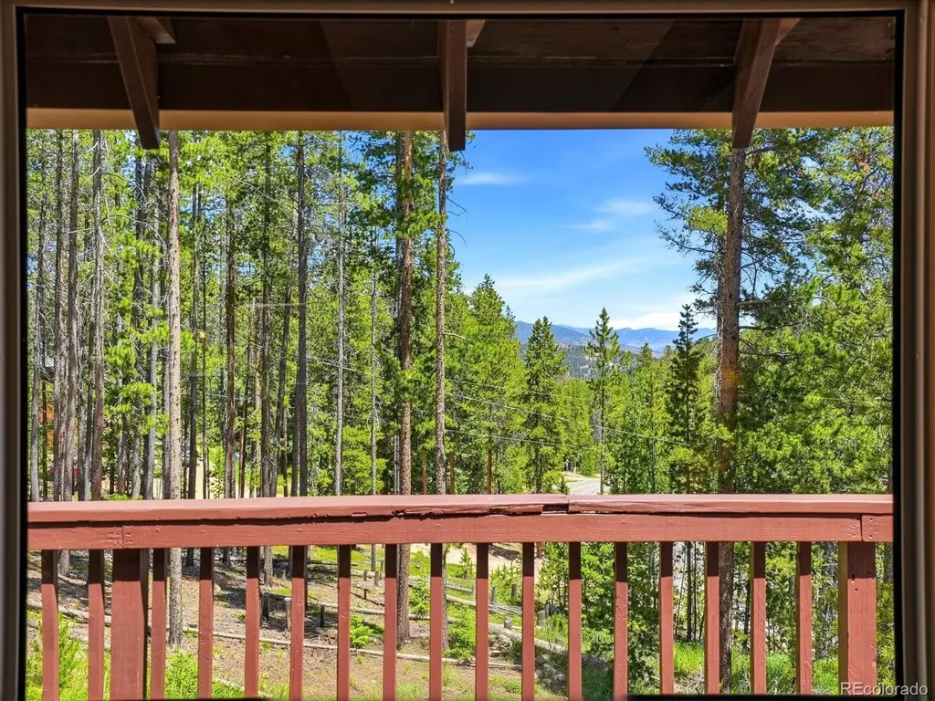 32627 Lila Drive Conifer CO 80433