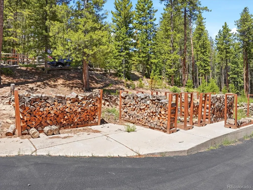 32627 Lila Drive Conifer CO 80433