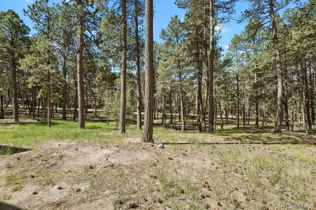 17885 Woodhaven Drive Colorado Springs CO 80908