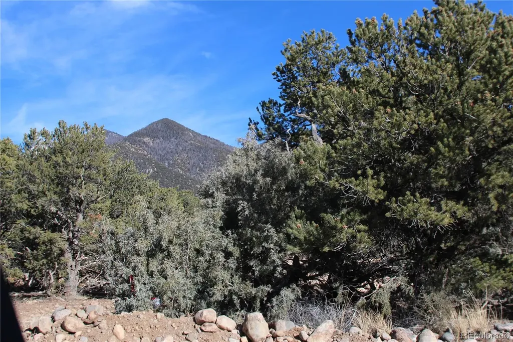 4333 Camino Baca Grande Crestone CO 81131