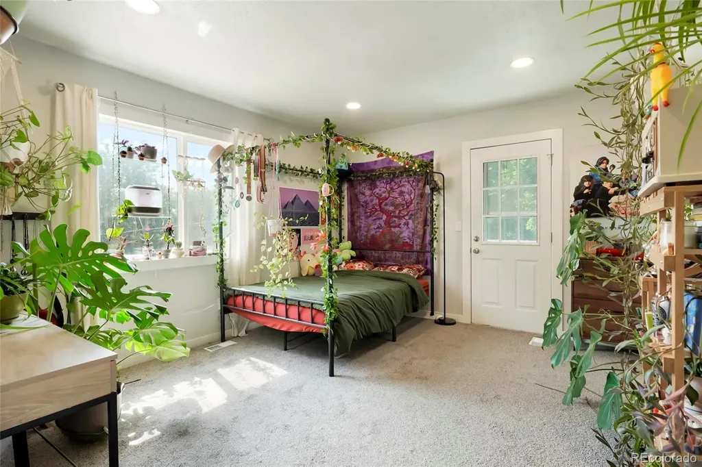 517 Locust Street Windsor CO 80550