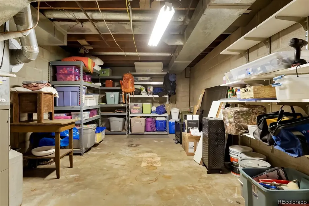 517 Locust Street Windsor CO 80550