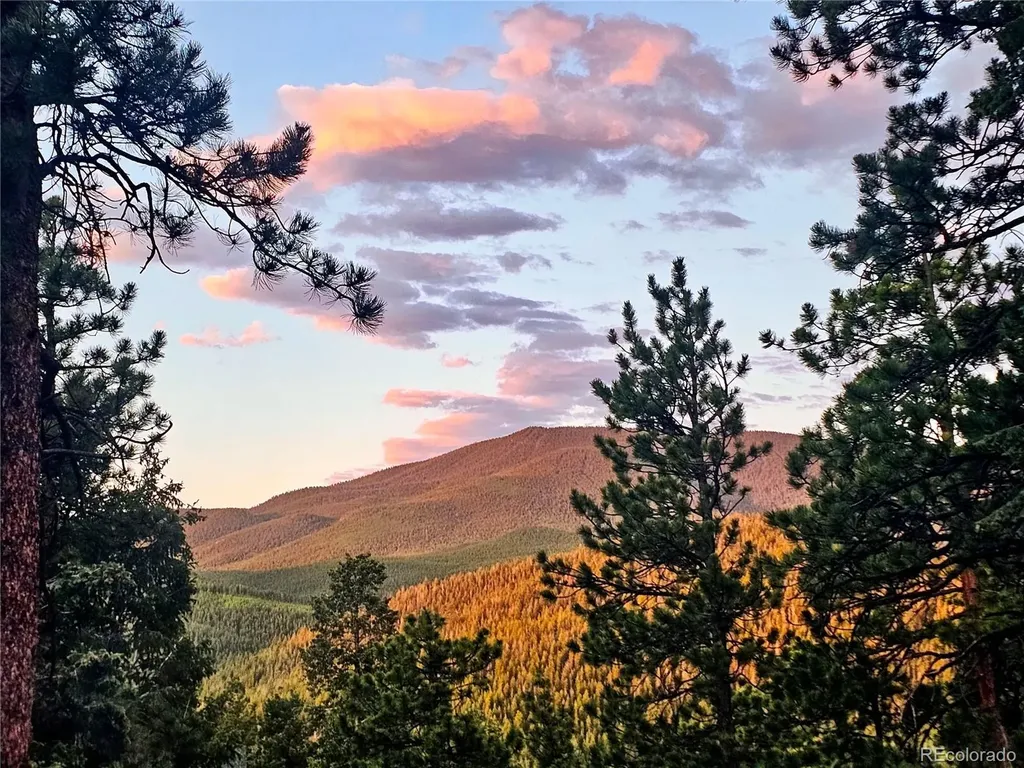 32783 Lodgepole Circle Evergreen CO 80439
