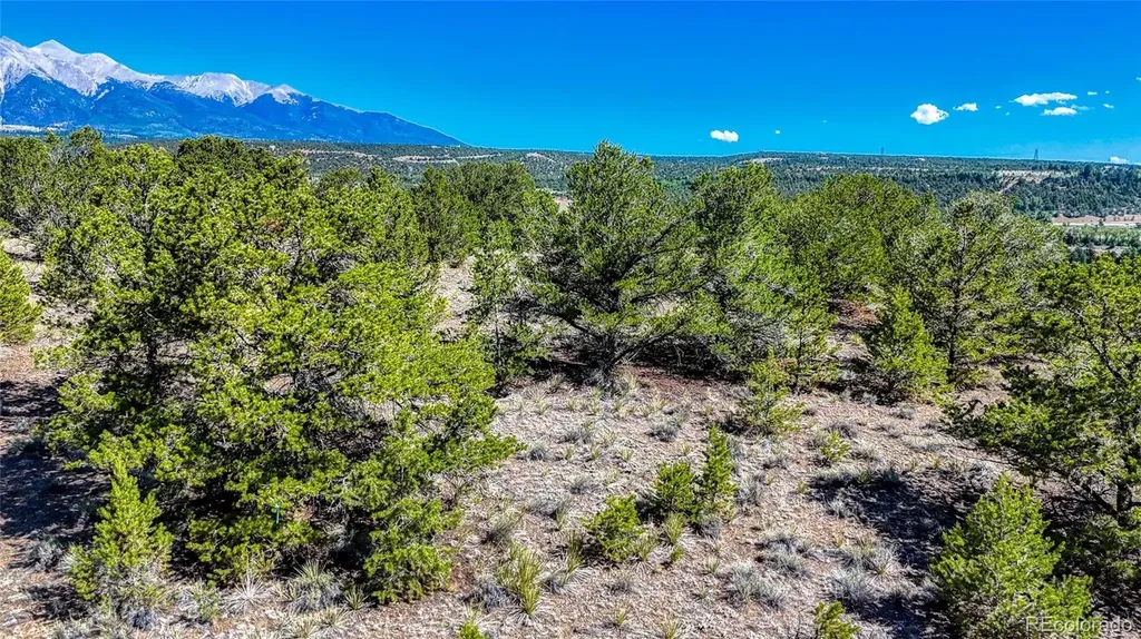 7382 Heavenly View Parkway Salida CO 81201