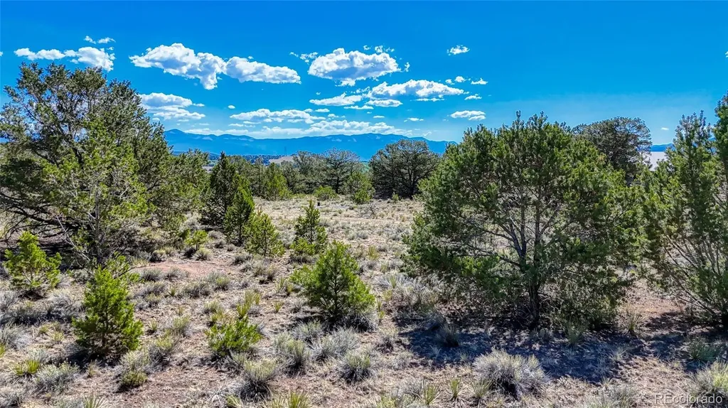 7382 Heavenly View Parkway Salida CO 81201