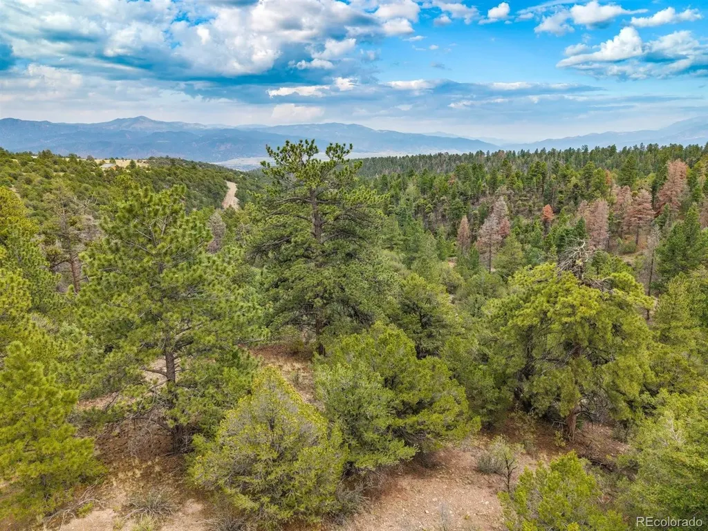 13500 County Road 251 Salida CO 81201