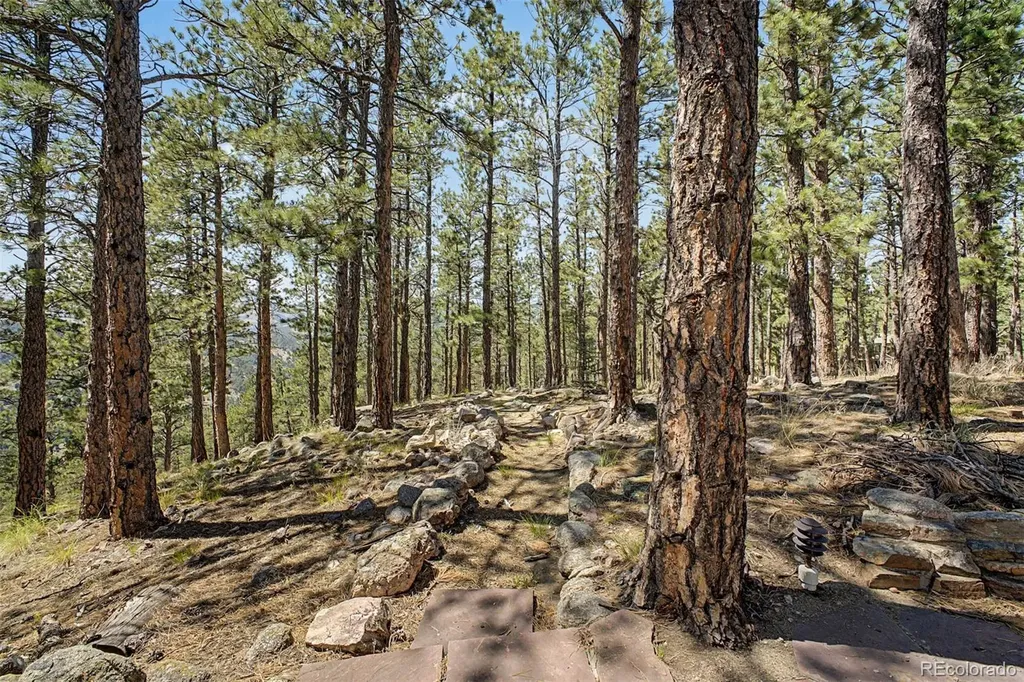 419 Wild Horse Circle Boulder CO 80304