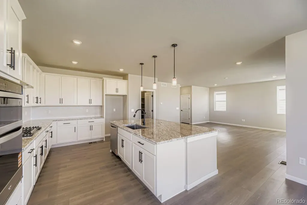 13769 Daffodil Point Parker CO 80134