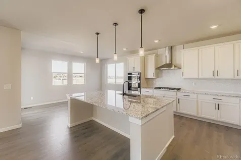 13769 Daffodil Point Parker CO 80134