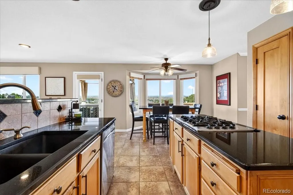 11267 Panorama Court Parker CO 80138