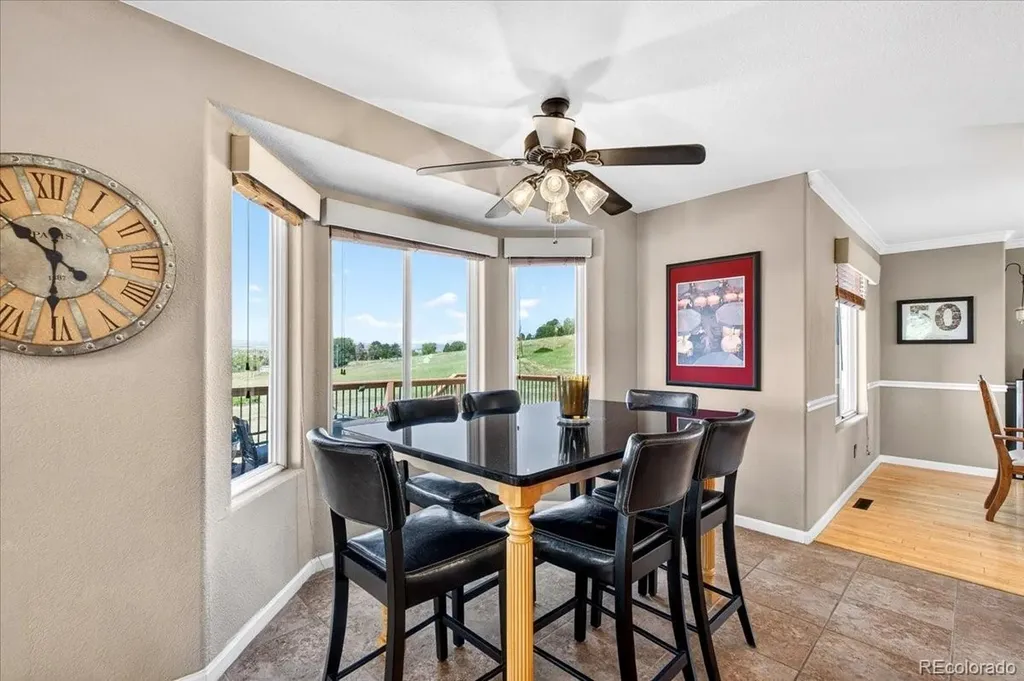 11267 Panorama Court Parker CO 80138