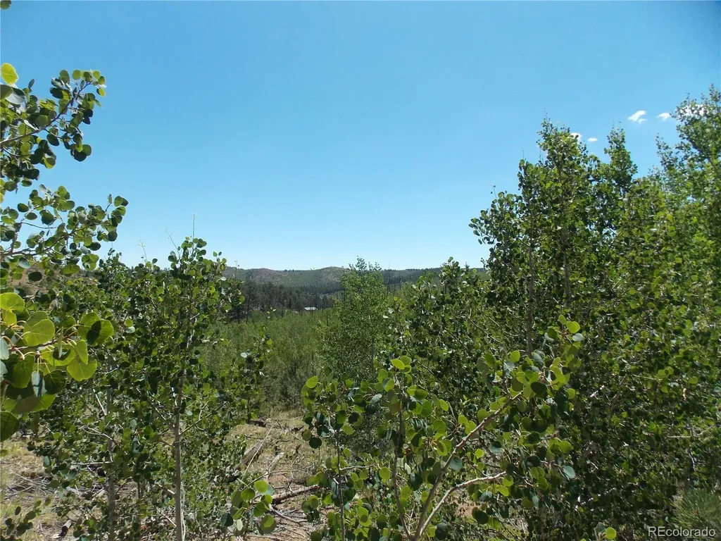 615 Valley Drive Florissant CO 80816