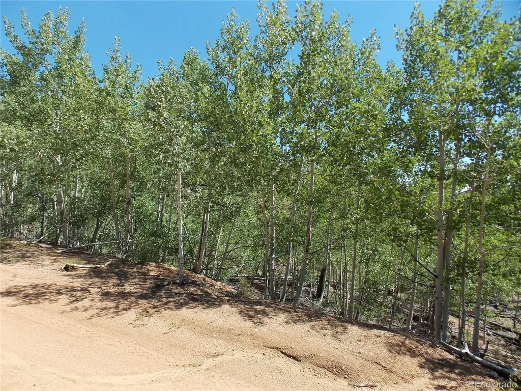 615 Valley Drive Florissant CO 80816