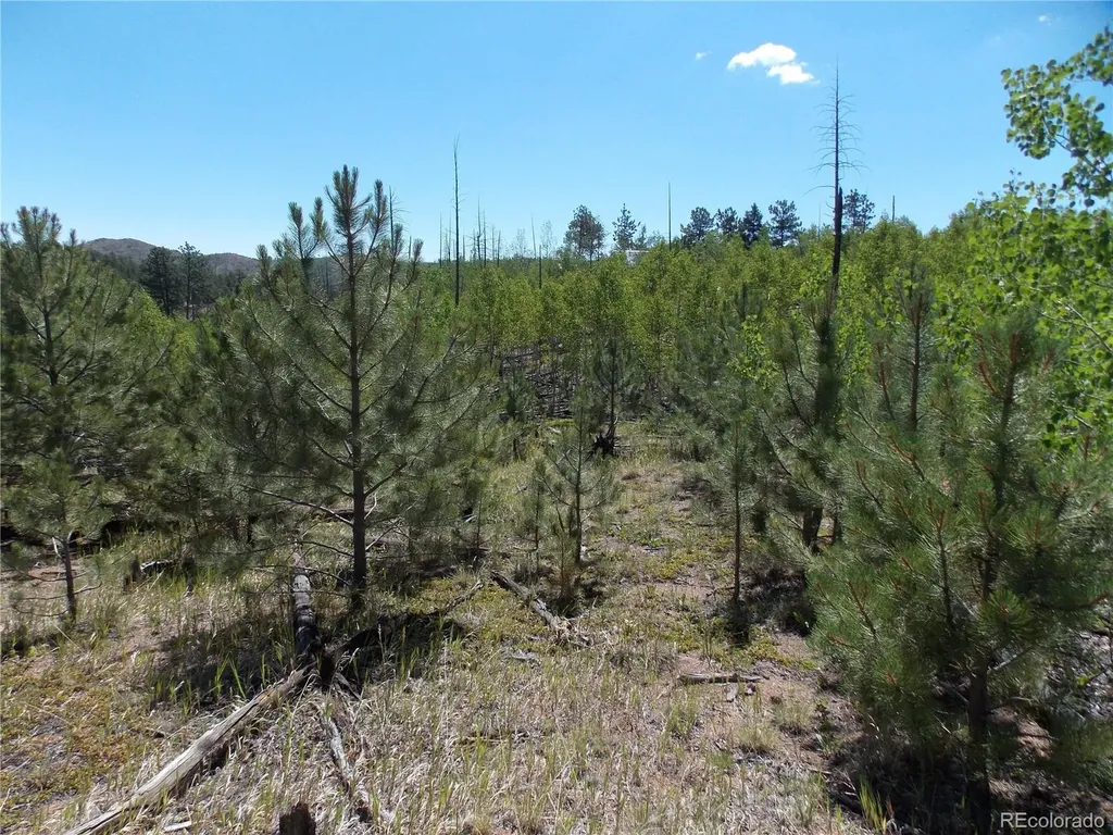 615 Valley Drive Florissant CO 80816