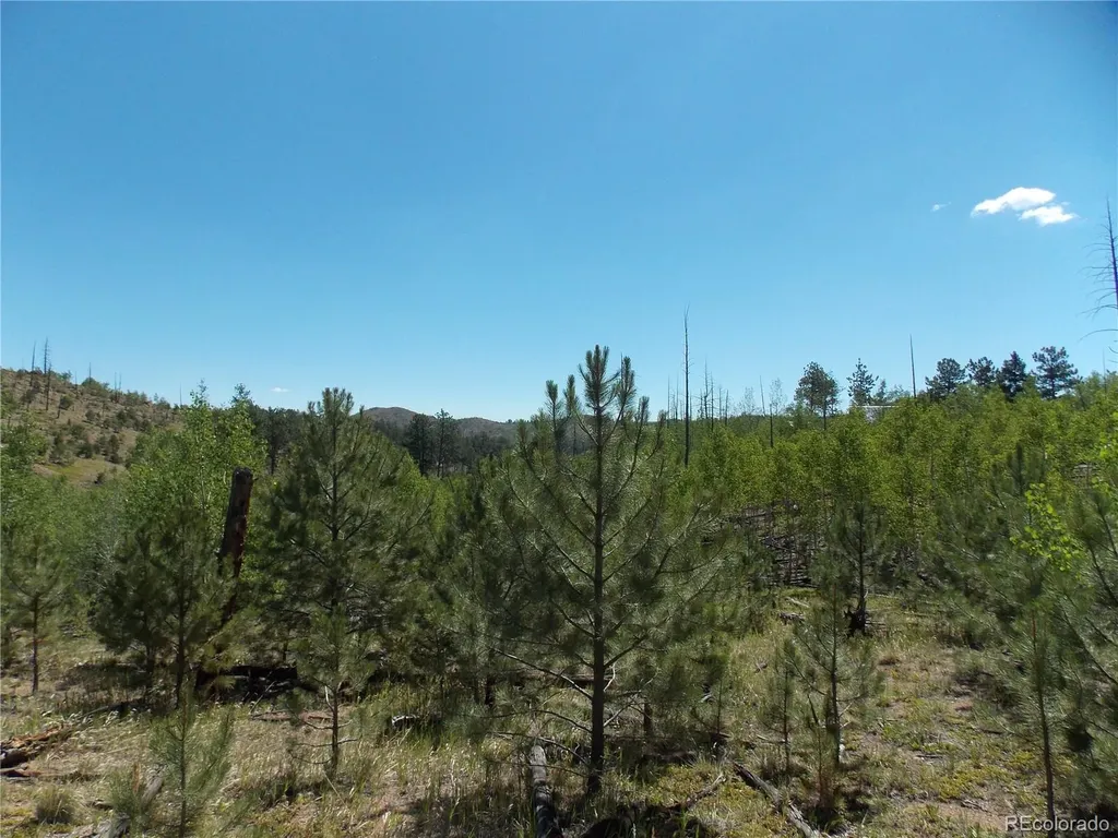 615 Valley Drive Florissant CO 80816