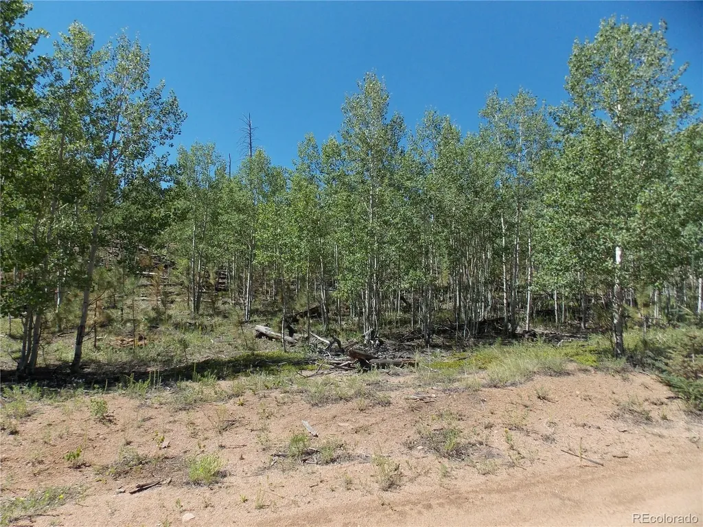 615 Valley Drive Florissant CO 80816
