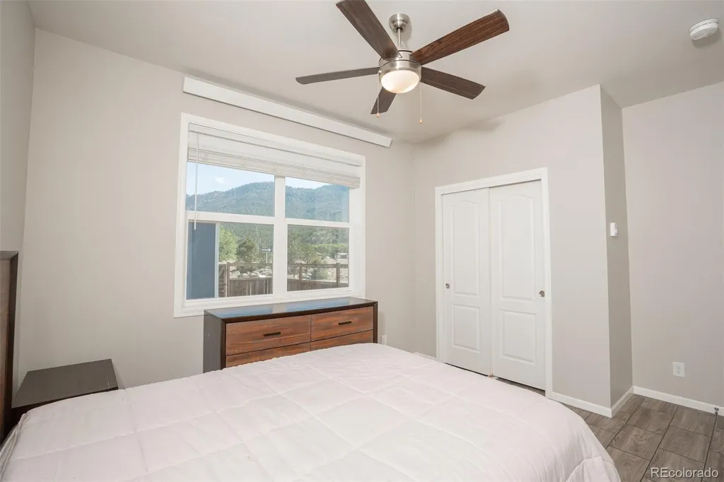 296 Barnwood Drive Buena Vista CO 81211