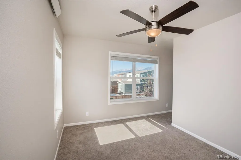 296 Barnwood Drive Buena Vista CO 81211