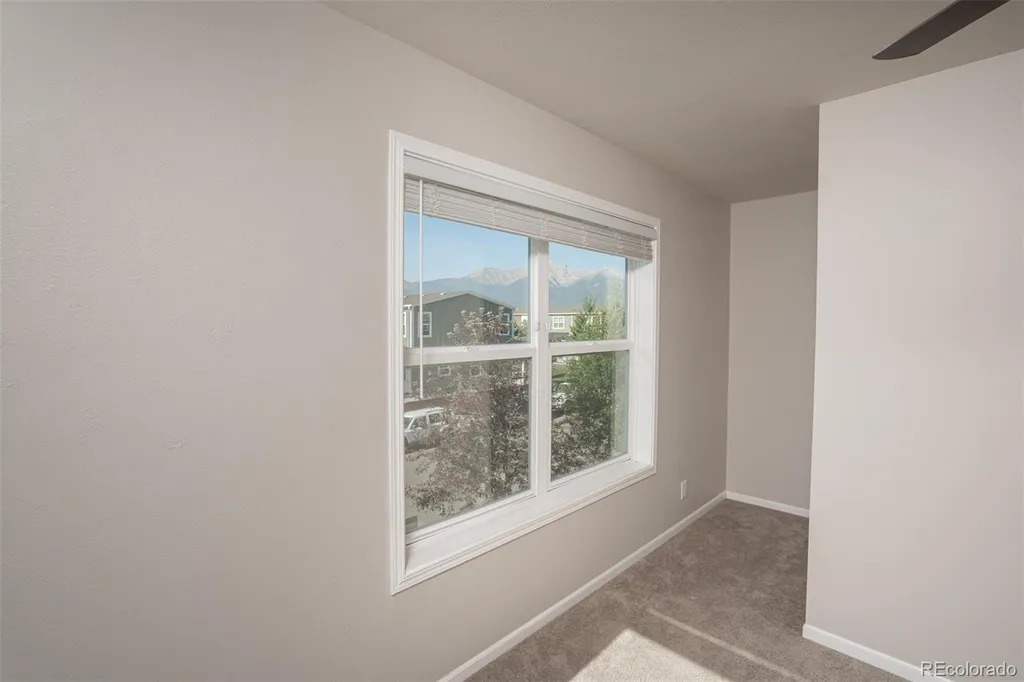 296 Barnwood Drive Buena Vista CO 81211