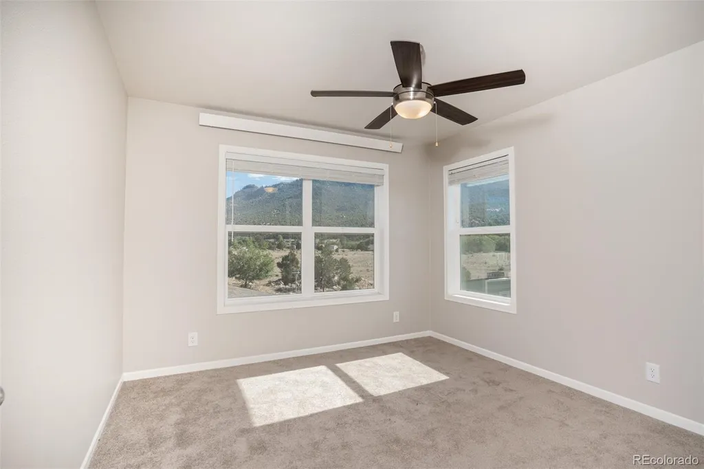 296 Barnwood Drive Buena Vista CO 81211