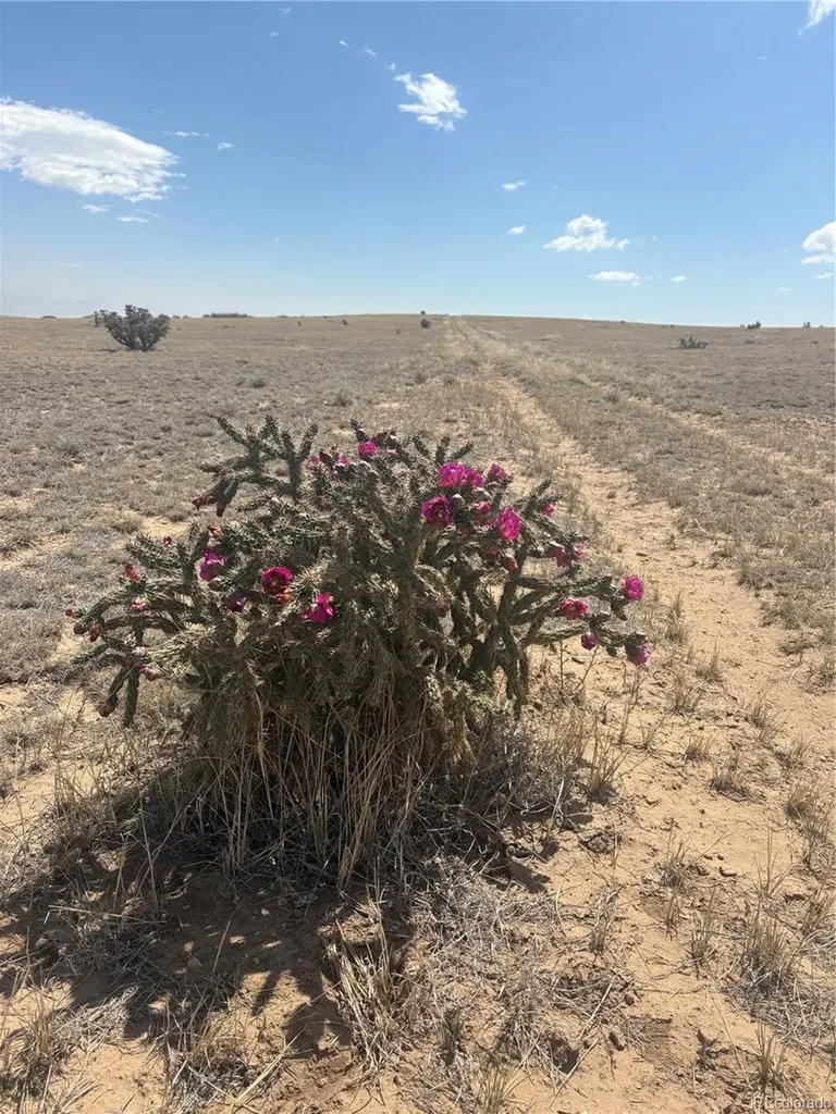 Lot 10 Cuerno Verde Ranches Walsenburg CO 81089