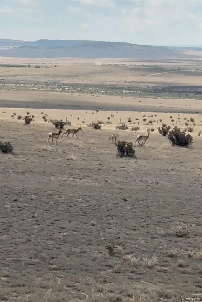 Lot 10 Cuerno Verde Ranches Walsenburg CO 81089