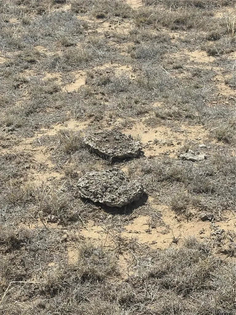Lot 10 Cuerno Verde Ranches Walsenburg CO 81089