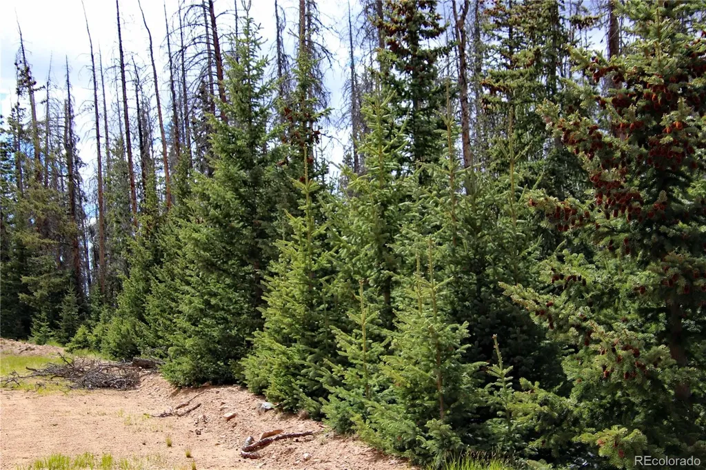 000 Schlueter Road Fort Garland CO 81133