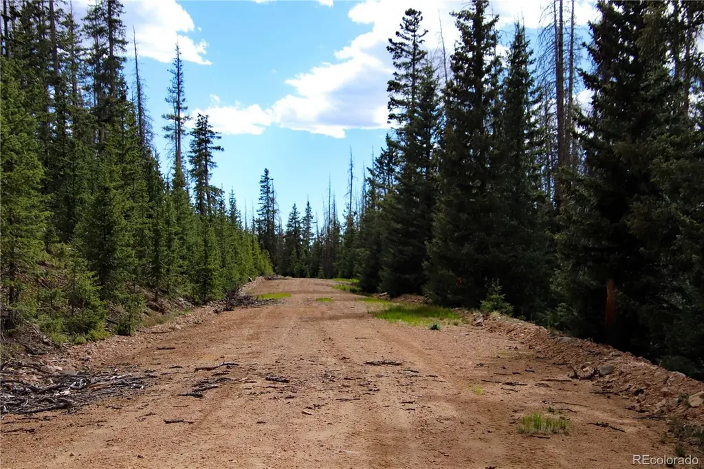 000 Schlueter Road Fort Garland CO 81133