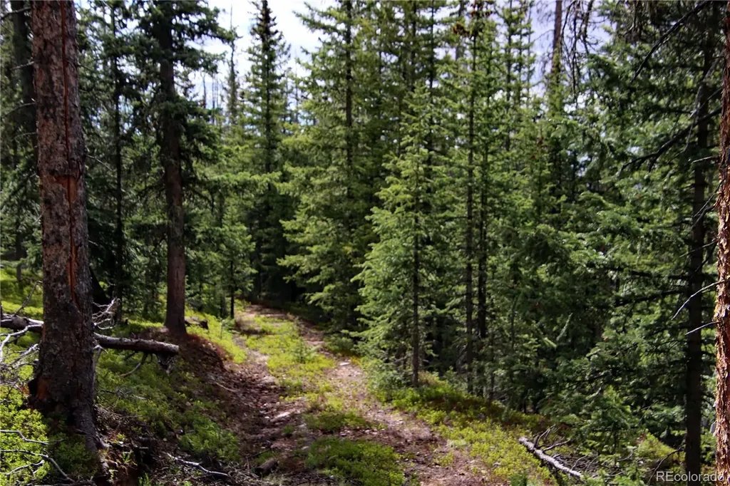 000 Schlueter Road Fort Garland CO 81133