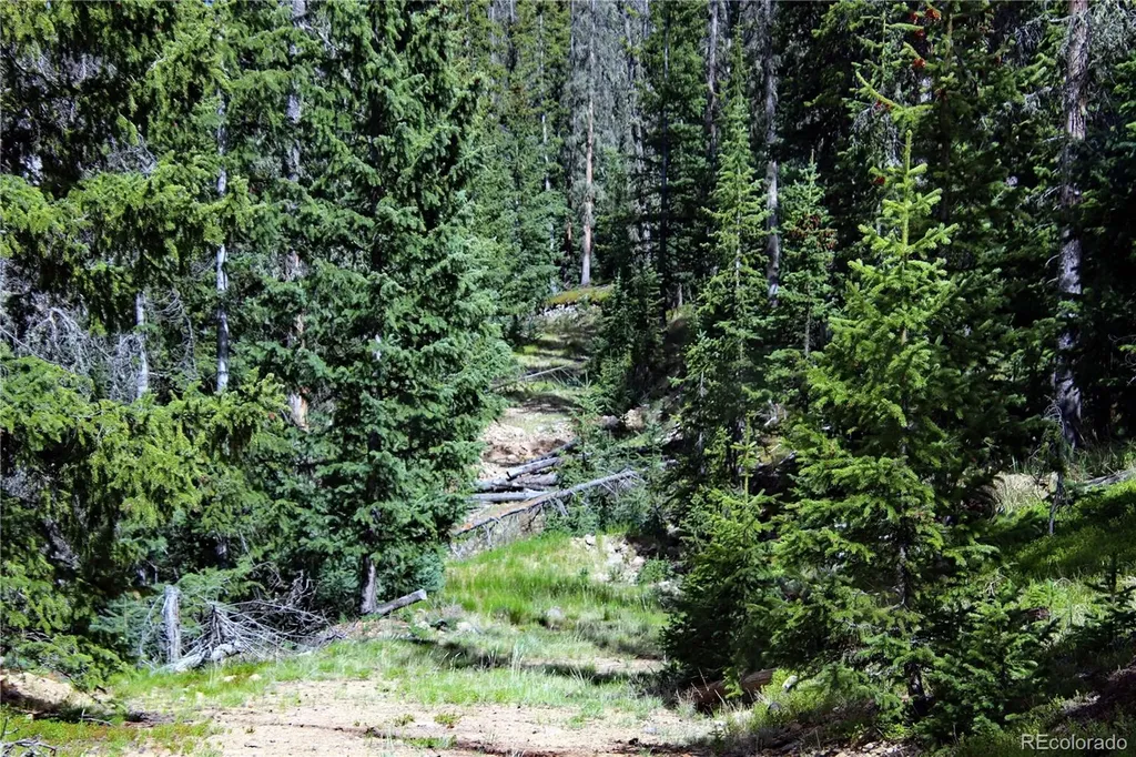 000 Schlueter Road Fort Garland CO 81133