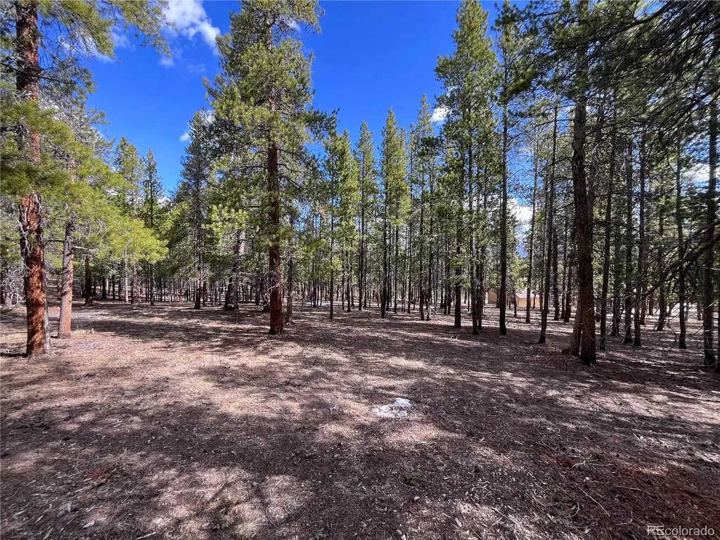 30336 National Forest Drive Buena Vista CO 81211
