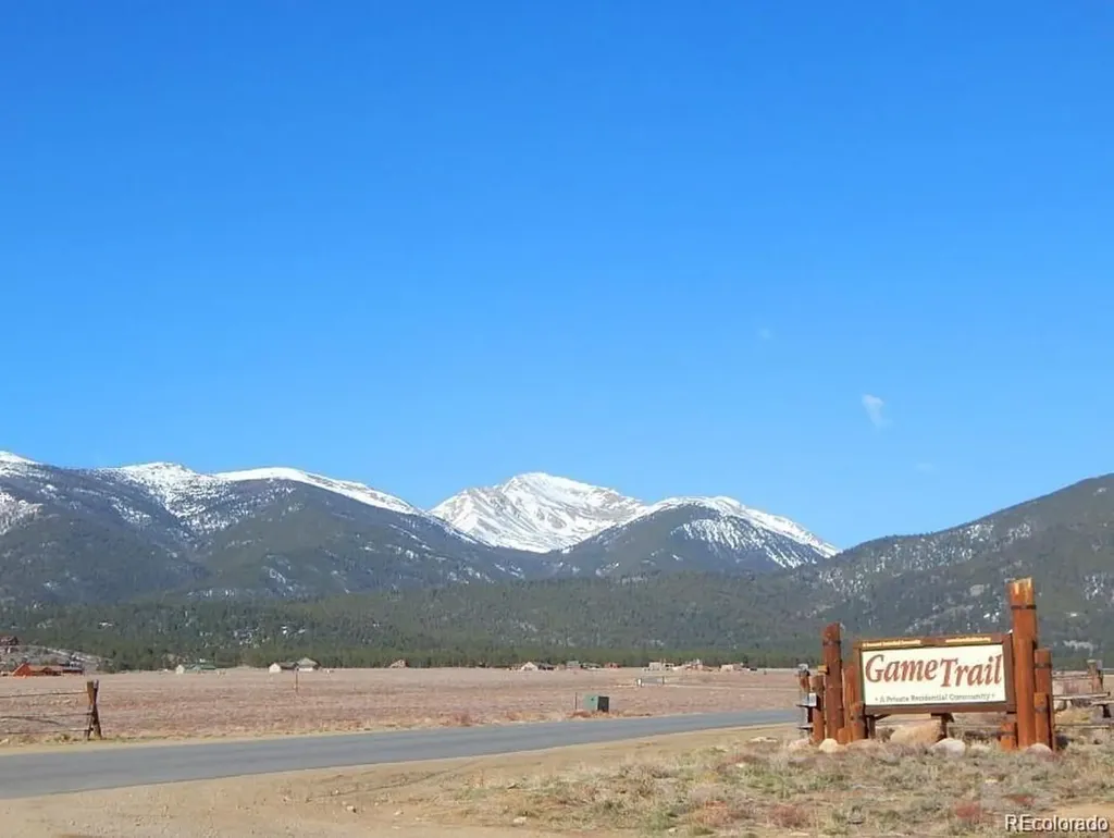 30336 National Forest Drive Buena Vista CO 81211