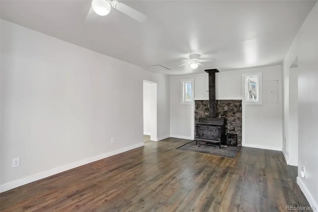 50 Singleton Road Alma CO 80420