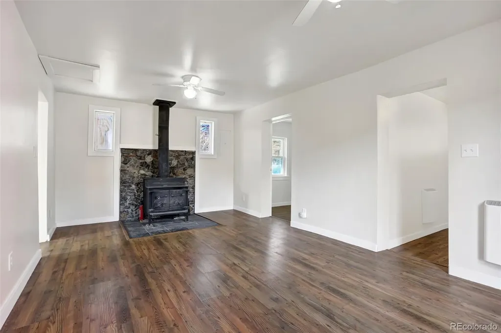 50 Singleton Road Alma CO 80420