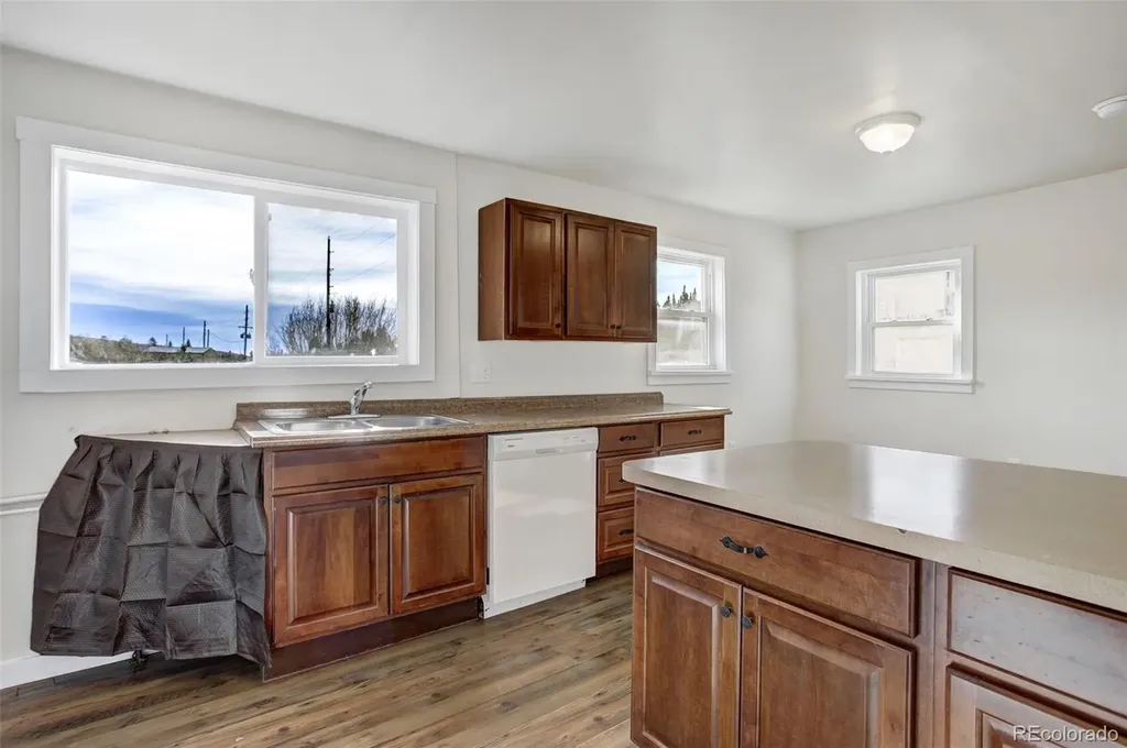 50 Singleton Road Alma CO 80420