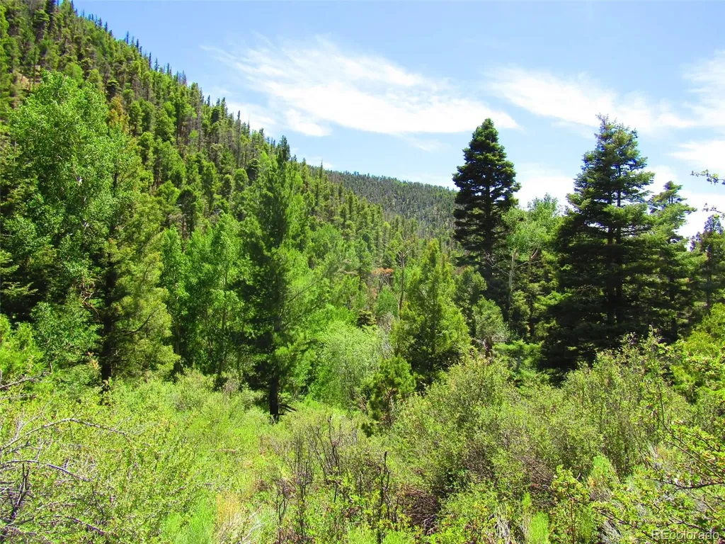 Lot 5526 Joy Road Fort Garland CO 81133