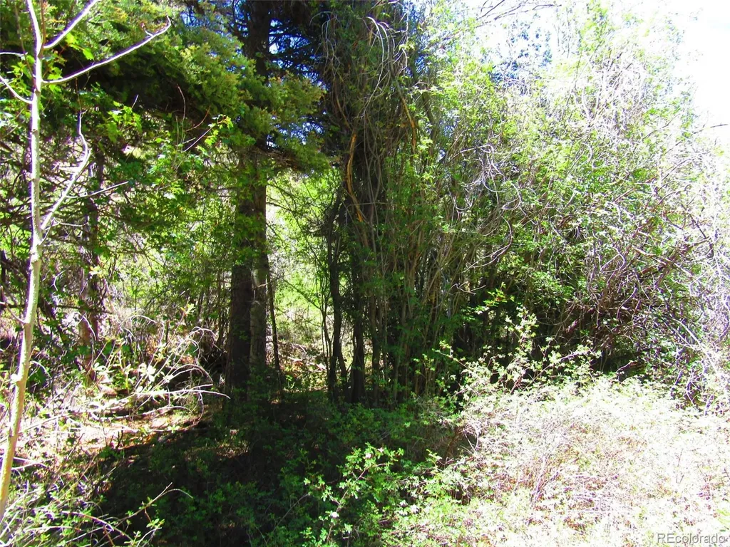 Lot 5526 Joy Road Fort Garland CO 81133